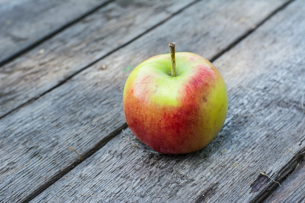 Mela. Apple in giardino. Concetto vegetariano Raccolto autunnale Ancora cibo per la vita. Vitamina. Dieta