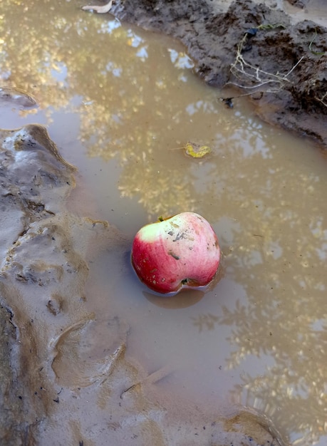 mela rossa caduta nell'acqua