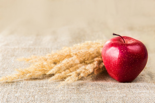 Mela rossa con punta su sfondo tessile. Mangiare sano