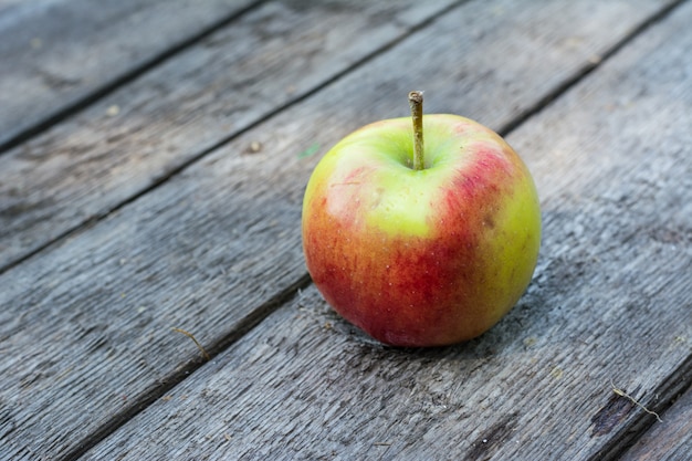 Mela rossa e gialla matura sulla tavola di legno. Apple in giardino. Concetto vegetariano Autunno har