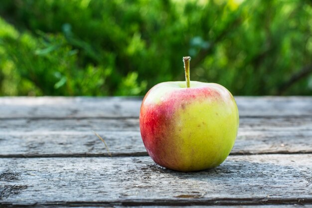 Mela rossa e gialla matura sulla tavola di legno. Apple in giardino. Concetto vegetariano Autunno har