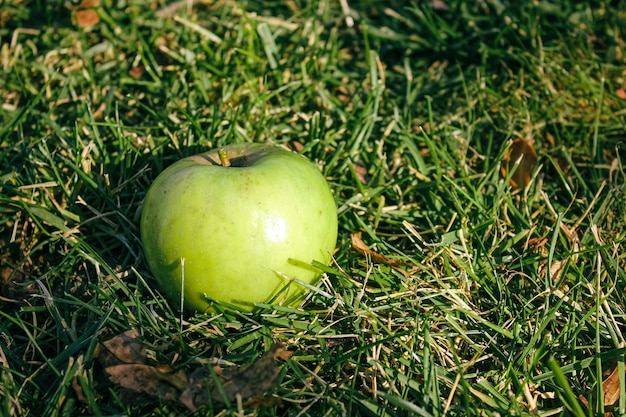 Mela verde su erba verde in autunno