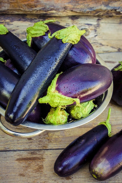 Melanzana. Cibo. Messa a fuoco selettiva cibo da giardino naturale.