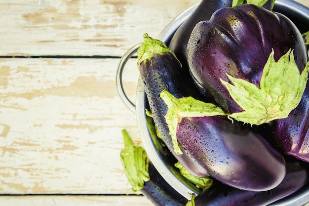 Melanzana. Cibo. Messa a fuoco selettiva cibo da giardino naturale.