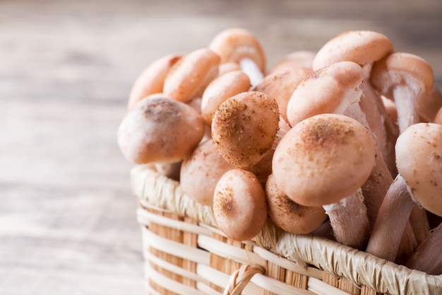 Melata cruda di funghi in un cestino di paglia