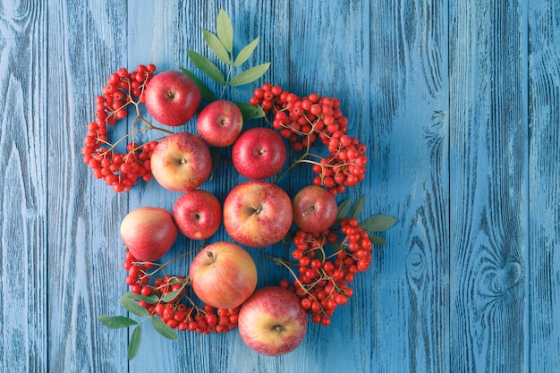 Mele e bacche di sorbo. Natura morta autunnale.