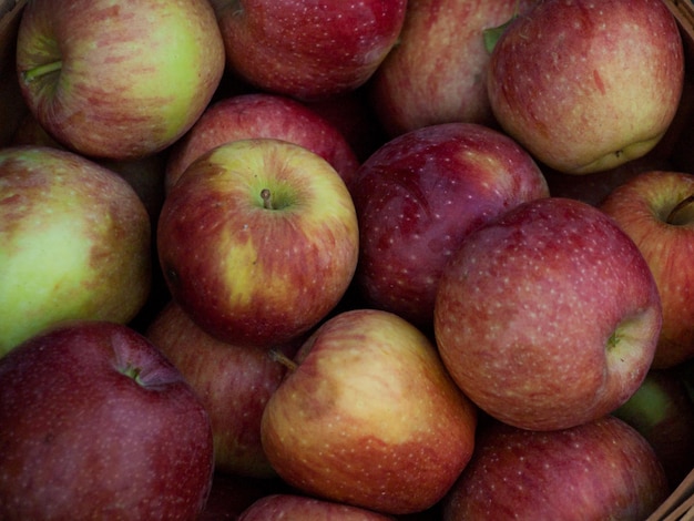 Mele fresche al mercato degli agricoltori locali. I mercati degli agricoltori sono un modo tradizionale di vendere prodotti agricoli.