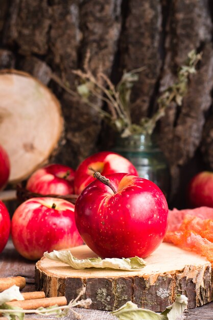 Mele mature su un taglio dell'albero