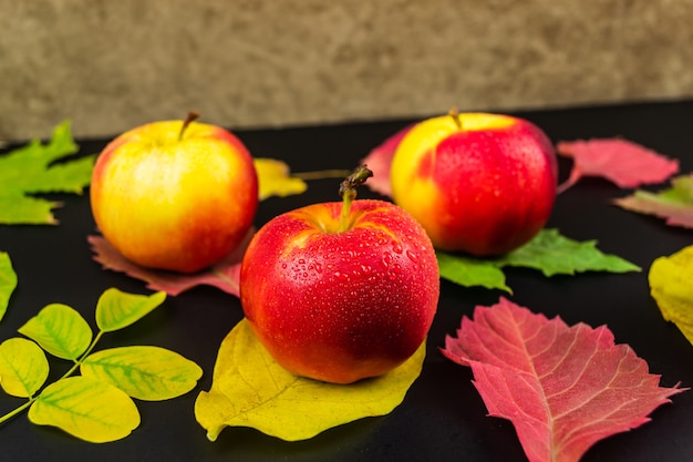 Mele rosse con gocce d'acqua su uno spazio nero. Autunno e concetto di raccolto. Messa a fuoco selettiva