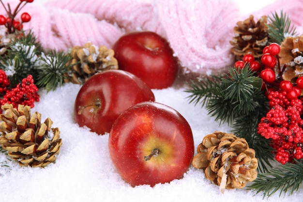 Mele rosse con rami di abete e sciarpa lavorata a maglia nella neve da vicino