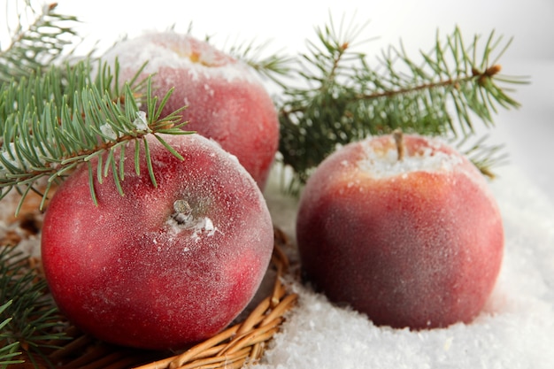 Mele rosse con rami di abete su supporto di vimini sulla neve da vicino