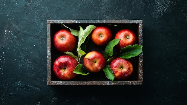 Mele rosse fresche con foglie verdi su sfondo nero Frutta Vista dall'alto Spazio libero per il testo