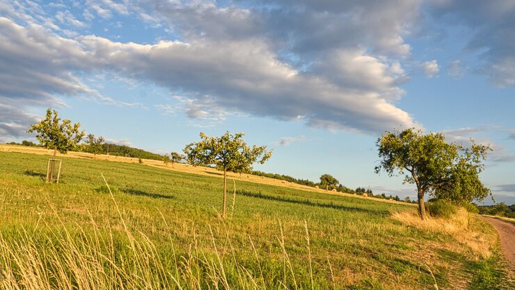 Foto meli in un prato davanti a un campo su cui balle di paglia tempo di raccolta