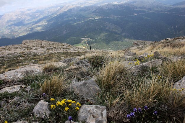 Melik Plateau Dedegol Montagna Isparta Turchia