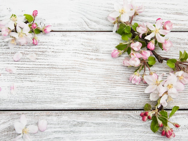 Melo di primavera