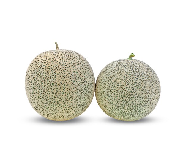 Melone cantalupo isolato