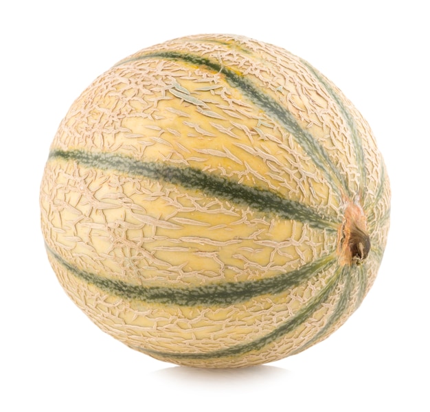 Melone cantalupo