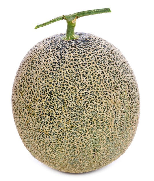 Melone isolato su sfondo bianco