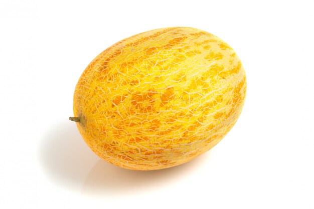 melone isolato