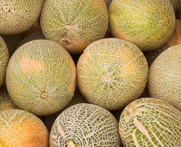 Meloni nel mercato