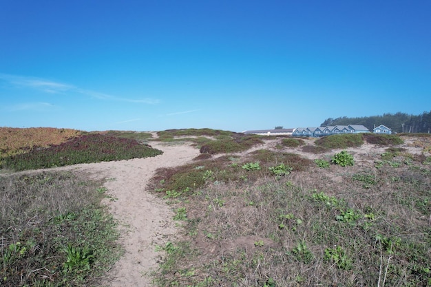 Mendocino e Noyo nei promontori della California