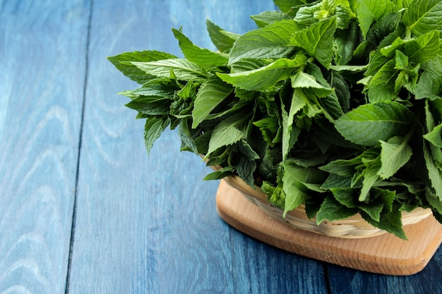 Menta. Foglie e rami di menta selvatica verde fresca in un cesto su un tavolo di legno blu.