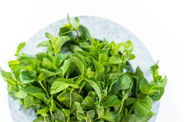 Menta fresca dall'orto biologico su sfondo bianco.