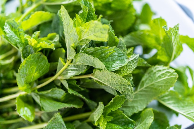 Menta fresca dell'orto biologico su fondo marmoreo.