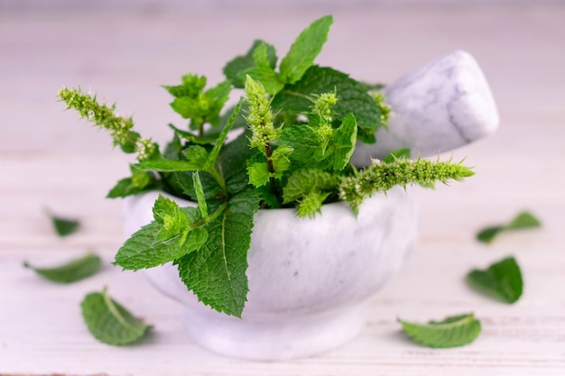 Menta fresca in un mortaio di pietra su sfondo bianco. Primo piano.