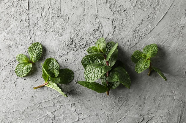 Menta fresca su grigio, spazio per il testo