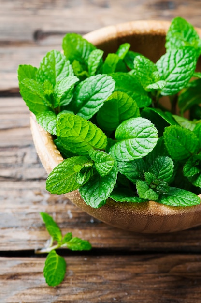 Menta fresca verde sul tavolo di legno