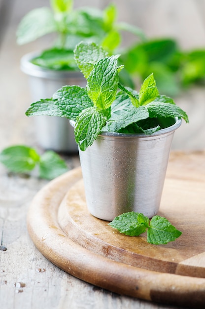 Menta fresca verde sulla tavola di legno