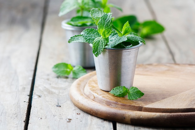 Menta fresca verde sulla tavola di legno