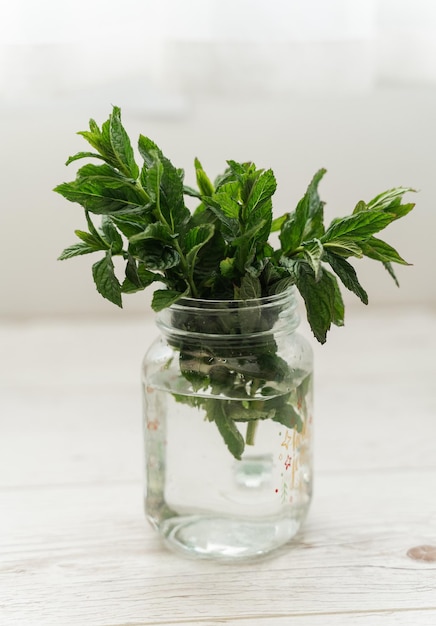 Menta in un vetro trasparente Concetto di mangiare sano