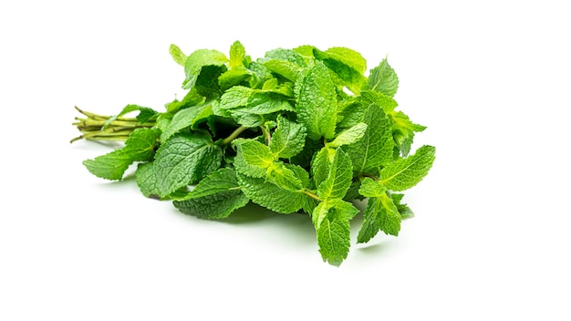 Menta verde fresca su sfondo bianco