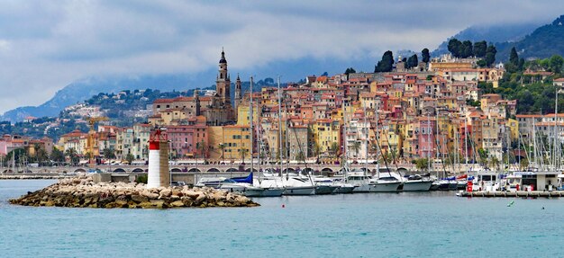 Menton frace.