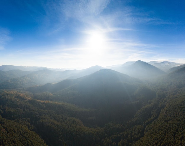 Meravigliosa vista dall'alto della foresta autunnale Sfondo naturale astratto