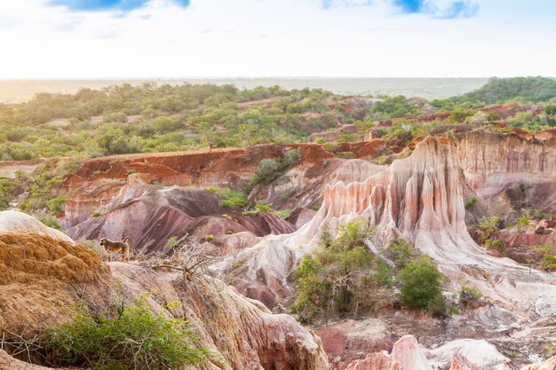 Meravigliosi colori arancioni al tramonto nel Marafa Canyon - detto anche The Hell's Kitchen. Regione di Malindi, Kenya