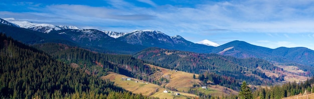 Meraviglioso bellissimo paesaggio con foresta di montagne e prato con alberi nelle montagne dei Carpazi Ucraina