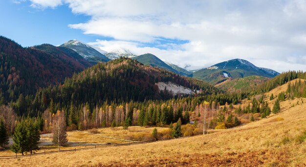 Meraviglioso bellissimo paesaggio con foresta di montagne e prato con alberi nelle montagne dei Carpazi Ucraina