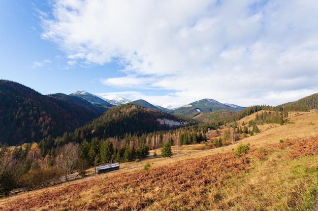 Meraviglioso bellissimo paesaggio con foresta di montagne e prato con alberi nelle montagne dei Carpazi Ucraina