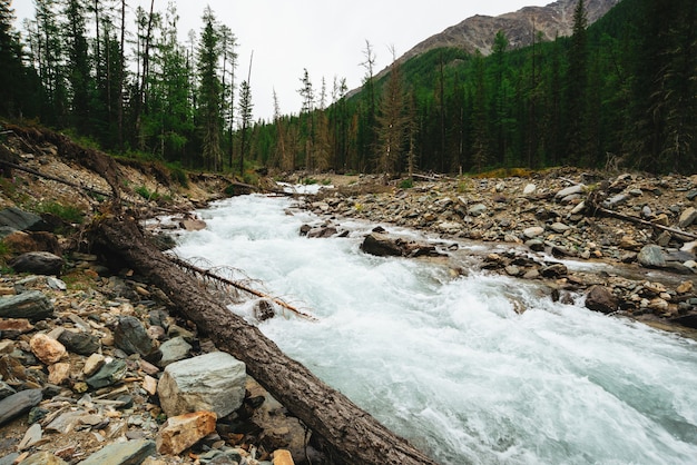 Meraviglioso flusso di acqua veloce dal ghiacciaio nel selvaggio torrente di montagna con pietre.