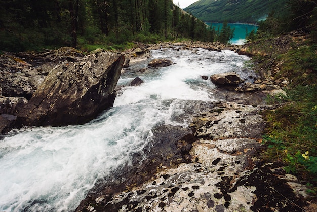 Meraviglioso flusso di acqua veloce nel flusso selvaggio torrente altopiano nel lago