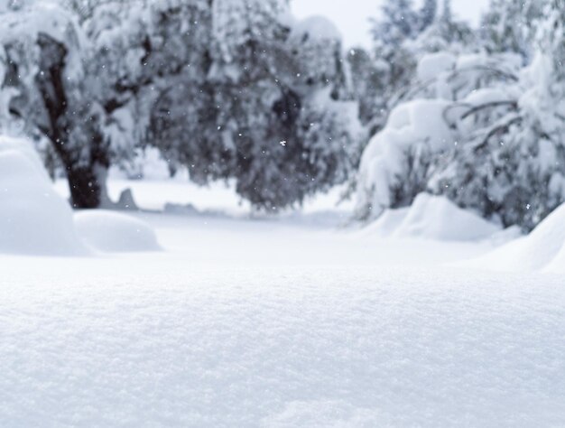 Meraviglioso inverno con molta neve e cumuli di neve in un villaggio greco sull'isola di Evia Grecia