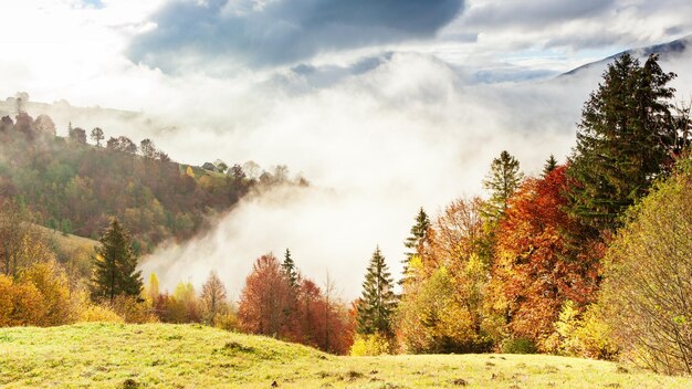 Meraviglioso paesaggio autunnale con un bel cielo azzurro e nuvole maestose Forest Sunset Beautiful Fall Season Forest Mountain Sunset Orange Colors Spiritualità Ispirazione Concetto di vacanza