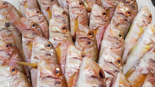 Mercato del pesce e del pesce crudo. Foto di concetto di cibo.