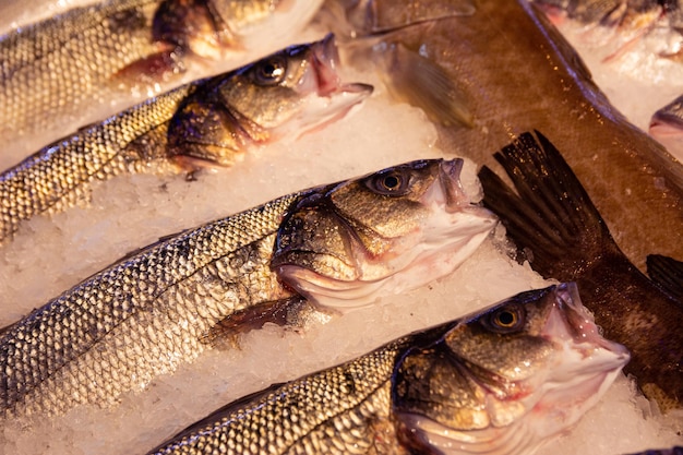 Mercato del pesce in Turchia Spigola fresca al banco Foto del primo piano di pesce fresco di branzino al mercato