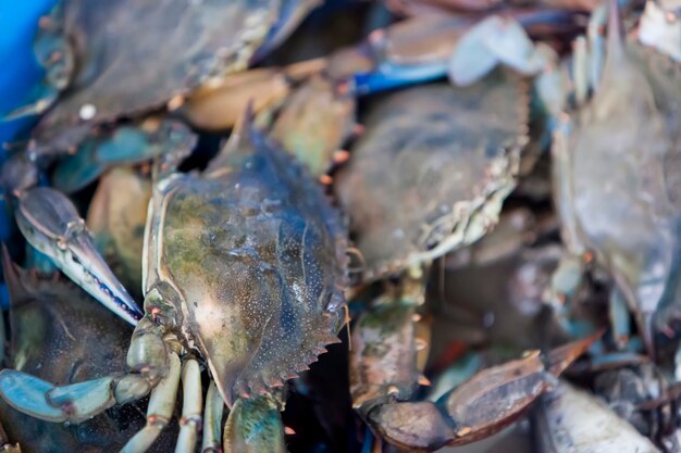 Mercato del pesce