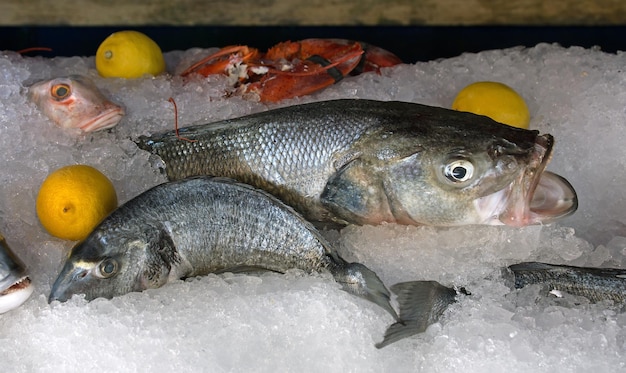 Mercato del pesce