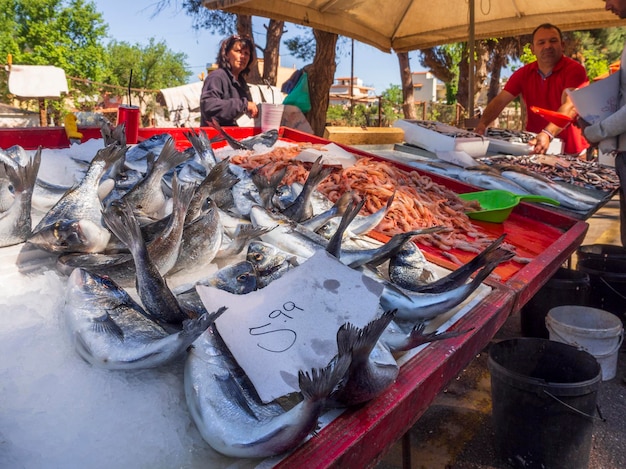 Mercato del villaggio greco sull'isola di Evia con pesce e una varietà di frutti di mare in una giornata di sole in Grecia